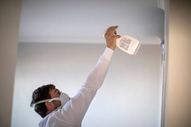 Best DIY Mold Remediation Support Services in North Randall, OH